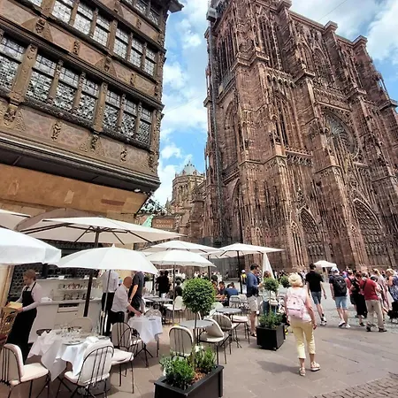 Lovely In With Wifi *